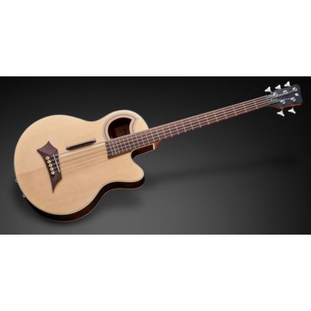RockBass Alien Hybrid Thinline 1575 90PA SWN FR